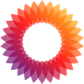 Wiki